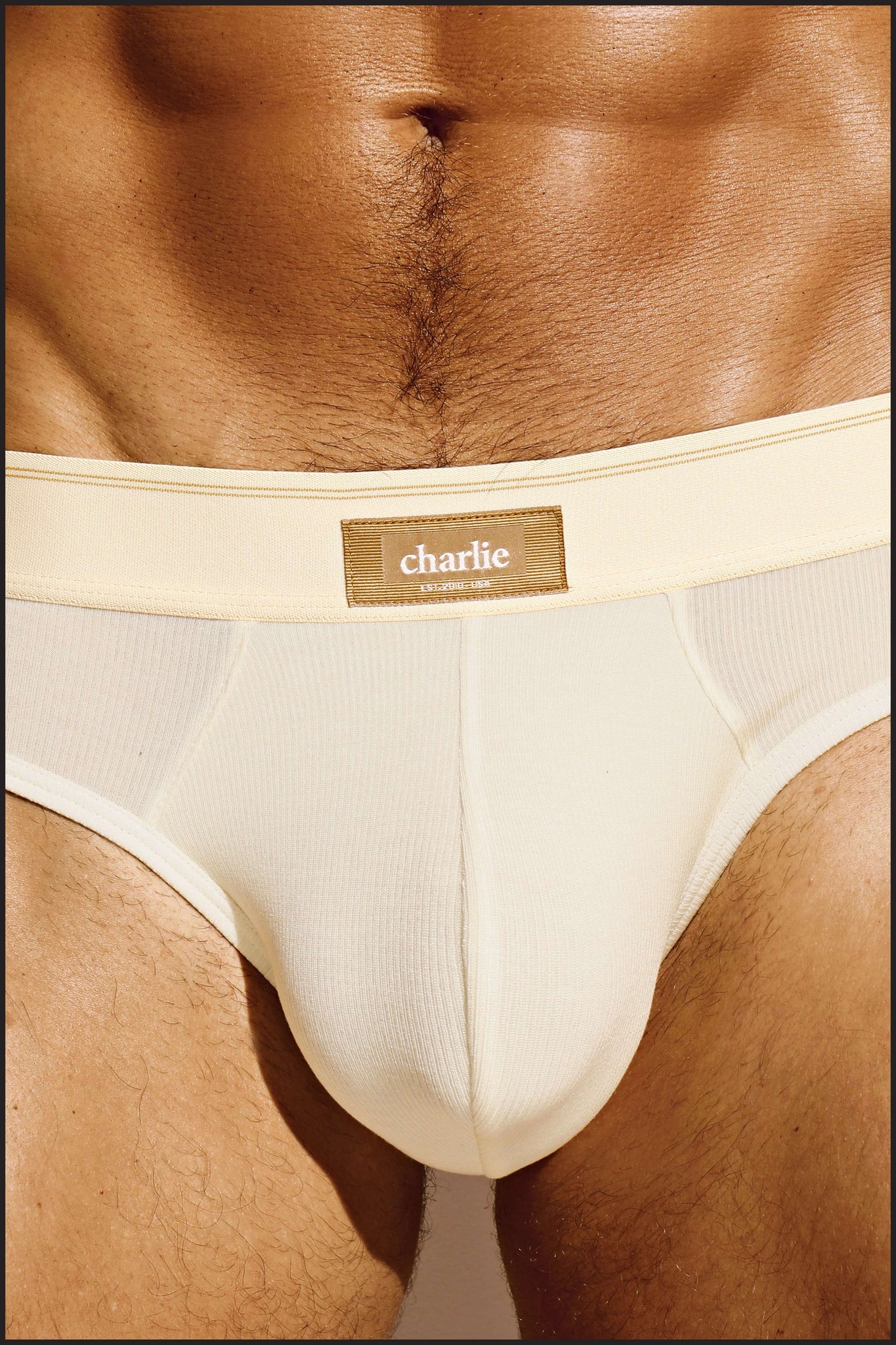 Charlie by Matthew Zink Mustang Underwear Classic Brief