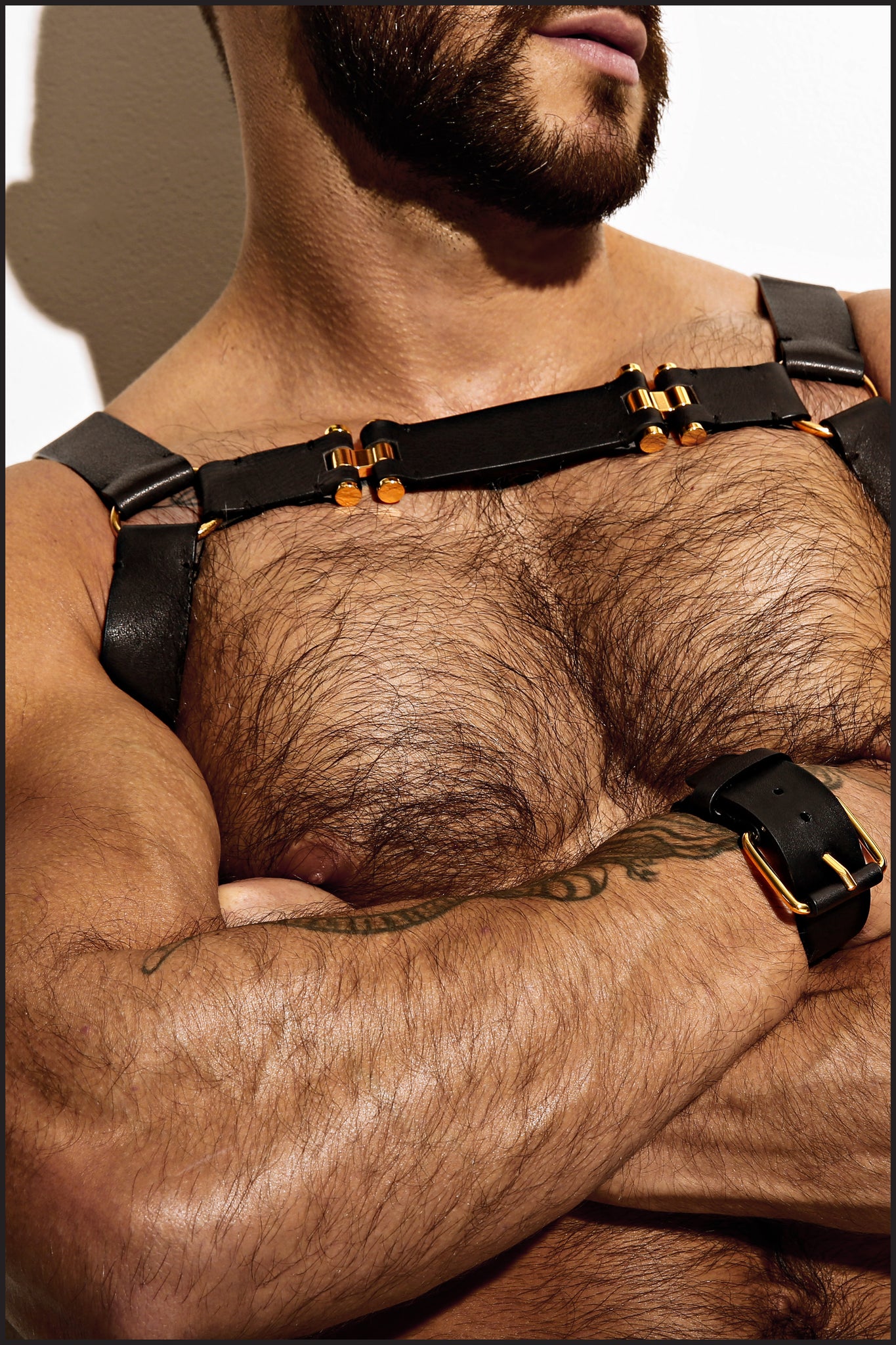 Charlie by Matthew Zink Mens Leather Chest Harness