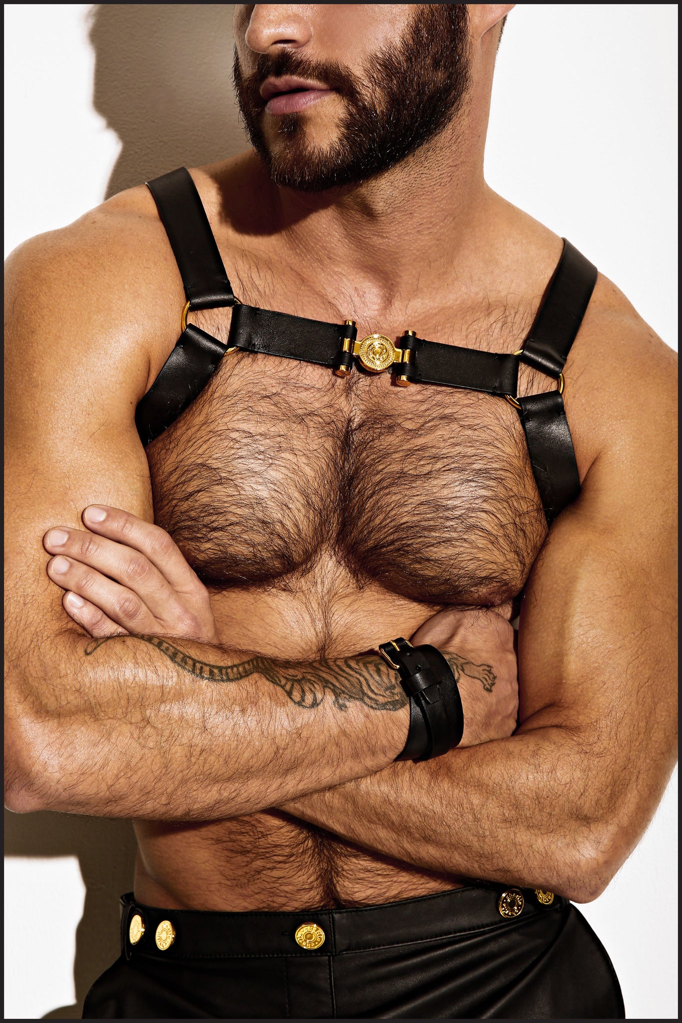 Charlie by Matthew Zink Mens Leather Single Grecian Chest Harness