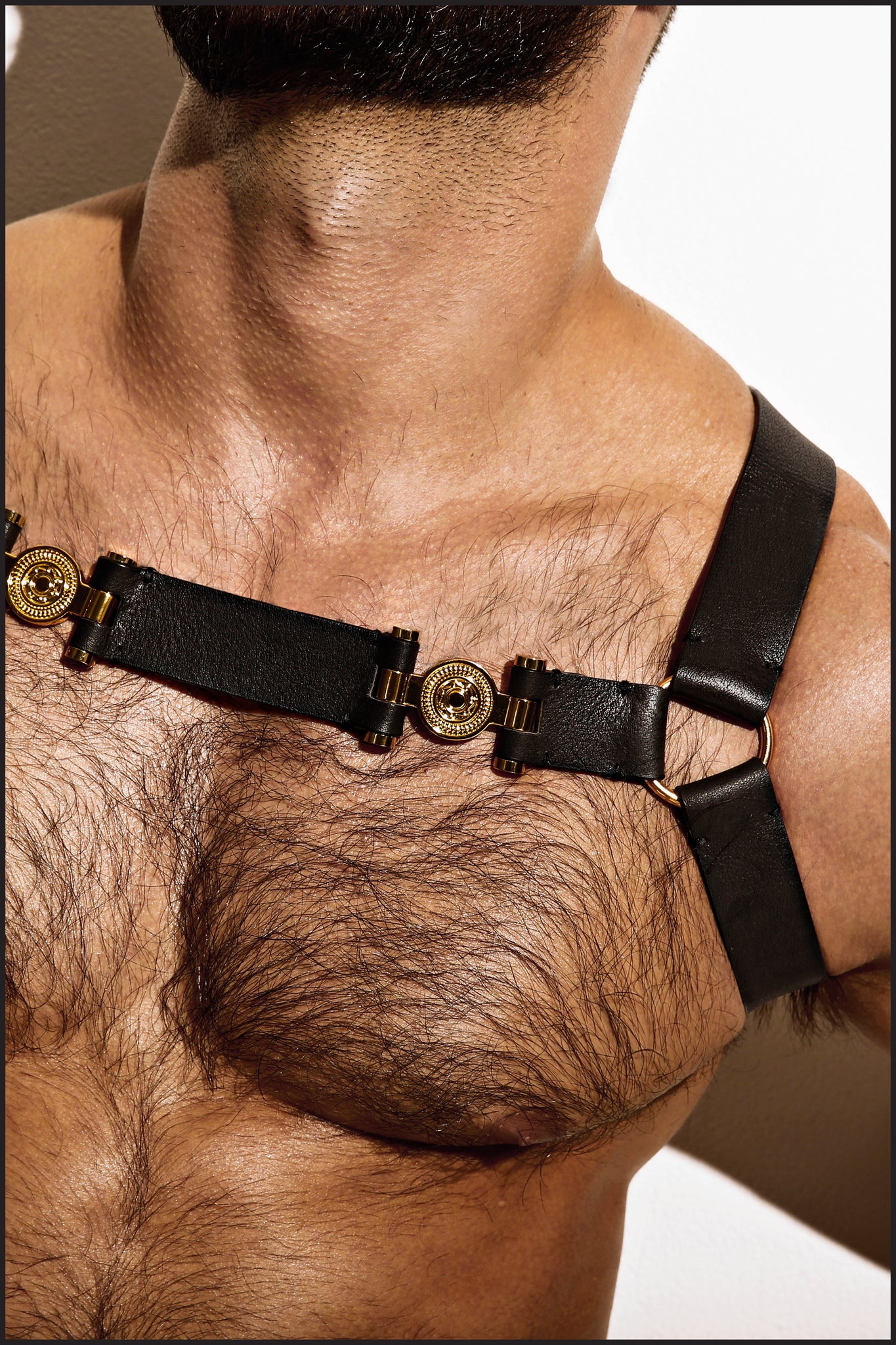 Charlie by Matthew Zink Mens Leather Double Grecian Chest Harness