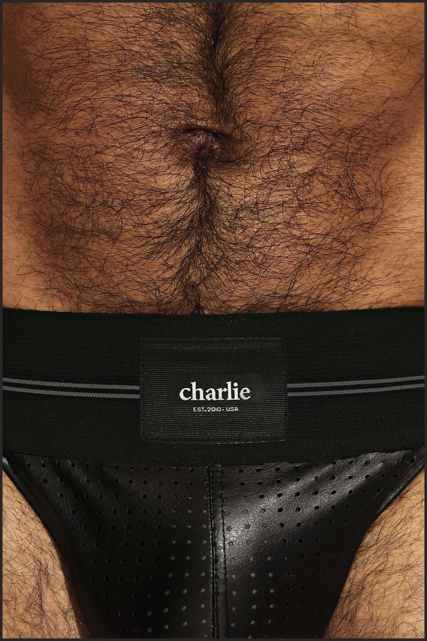 Charlie by Matthew Zink Mens Underwear Perforated Leather Pro Thong
