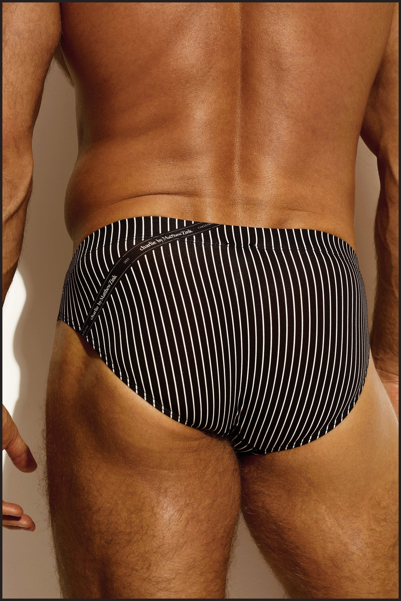 Gentleman Brief