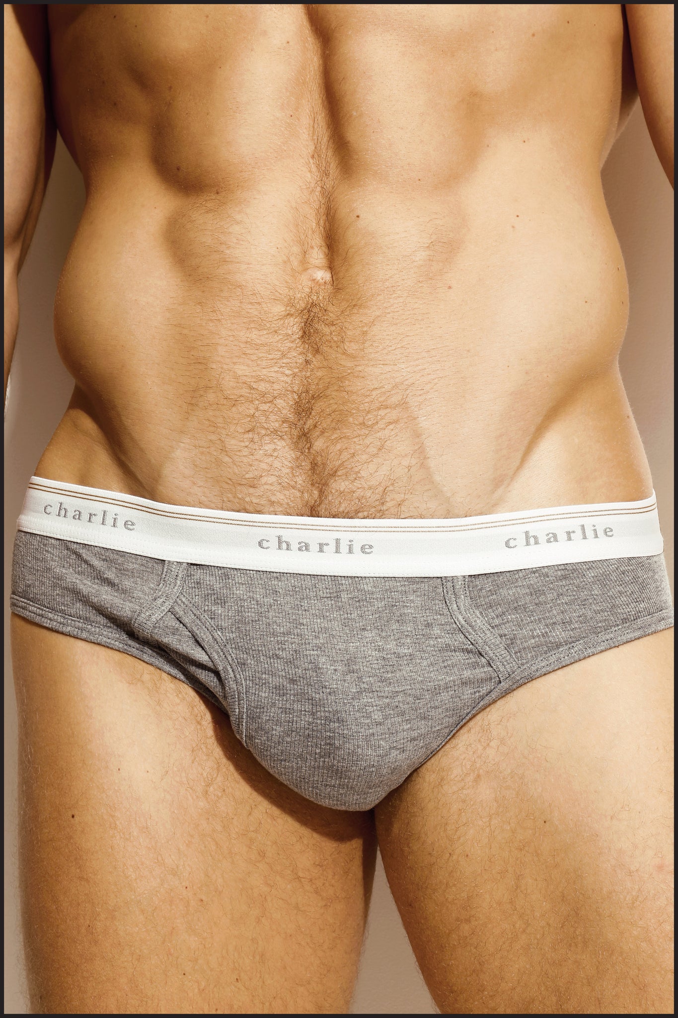 Charlie by matthew zink mens underwear  original brief – Charlie By  Matthew Zink