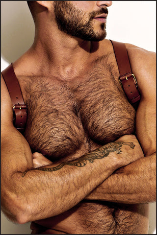 Leather Shoulder Harness