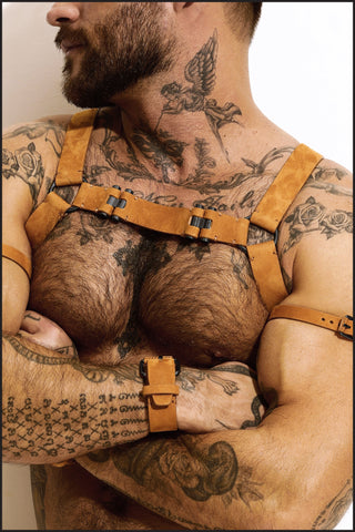 Leather Chest Harness