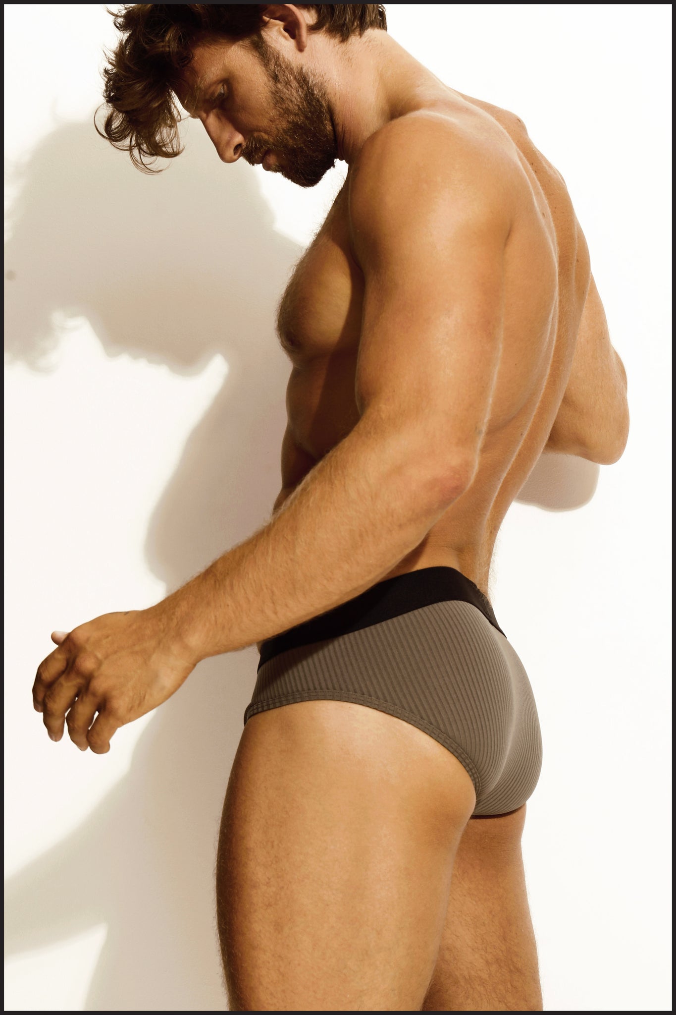 Original Brief