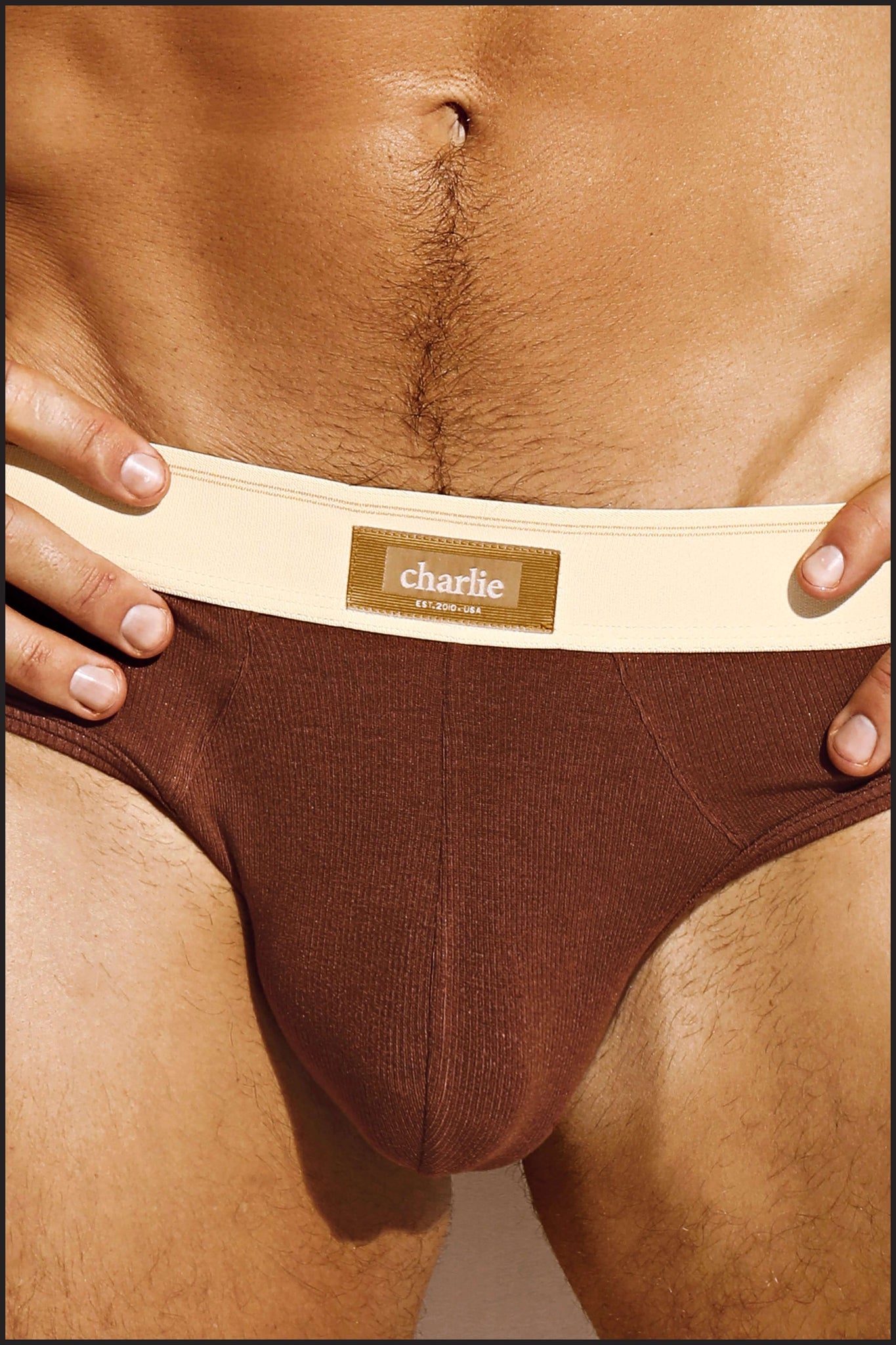 Charlie by matthew zink mens underwear  mustang series classic brief –  Charlie By Matthew Zink