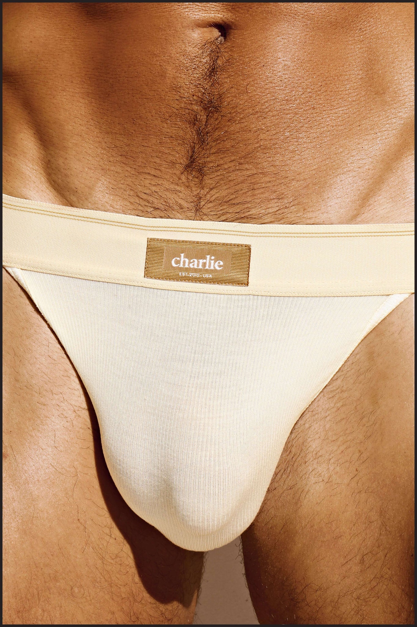Charlie by Matthew Zink Mustang Underwear Sport Brief