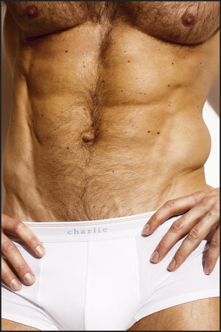 Classic Trunk - LOGO