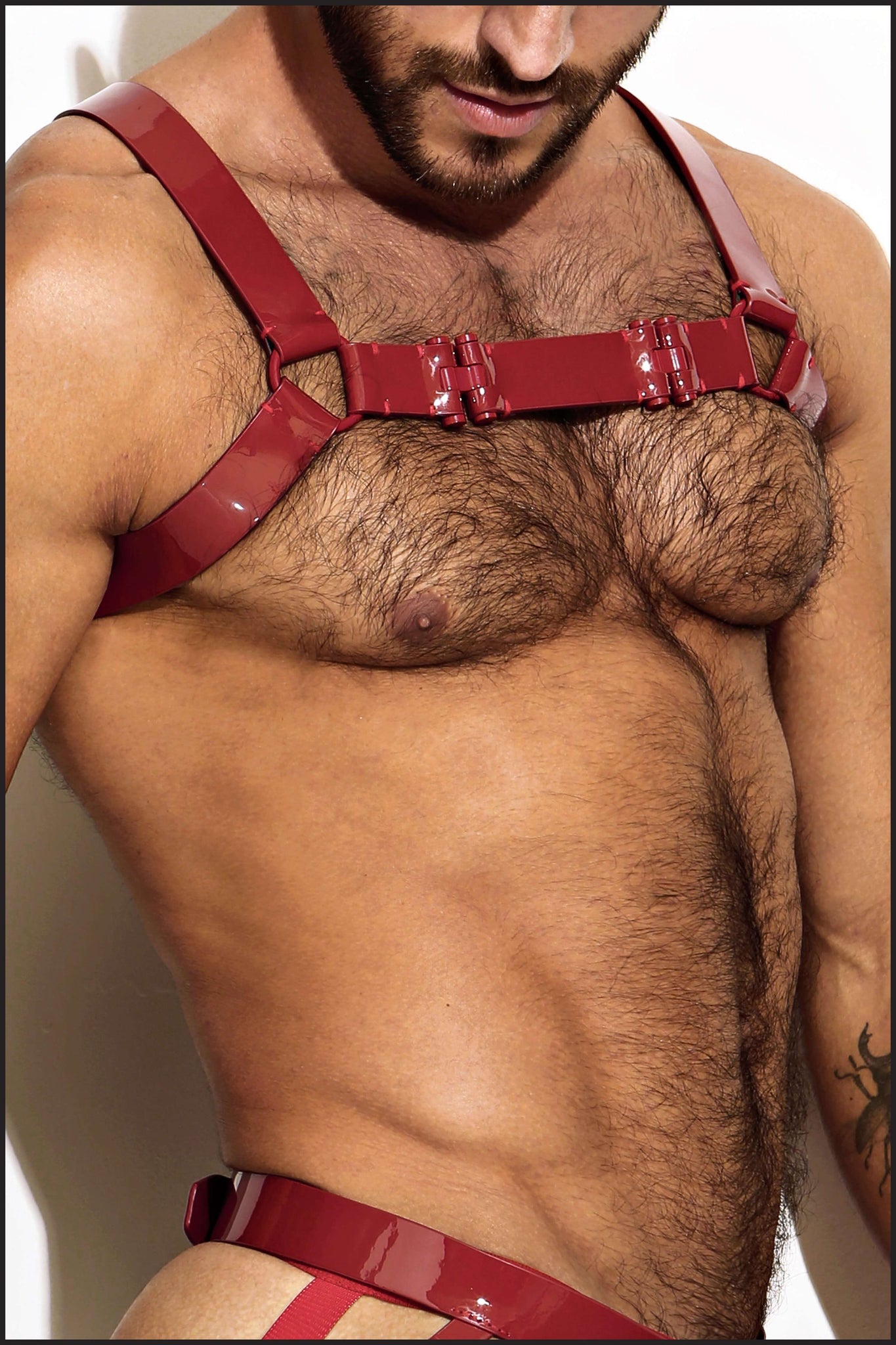 Charlie by Matthew Zink Men's Leather Chest Harness