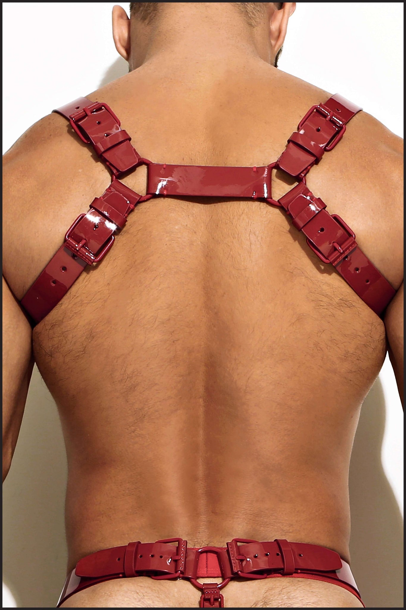 Charlie by Matthew Zink Men's Leather Chest Harness