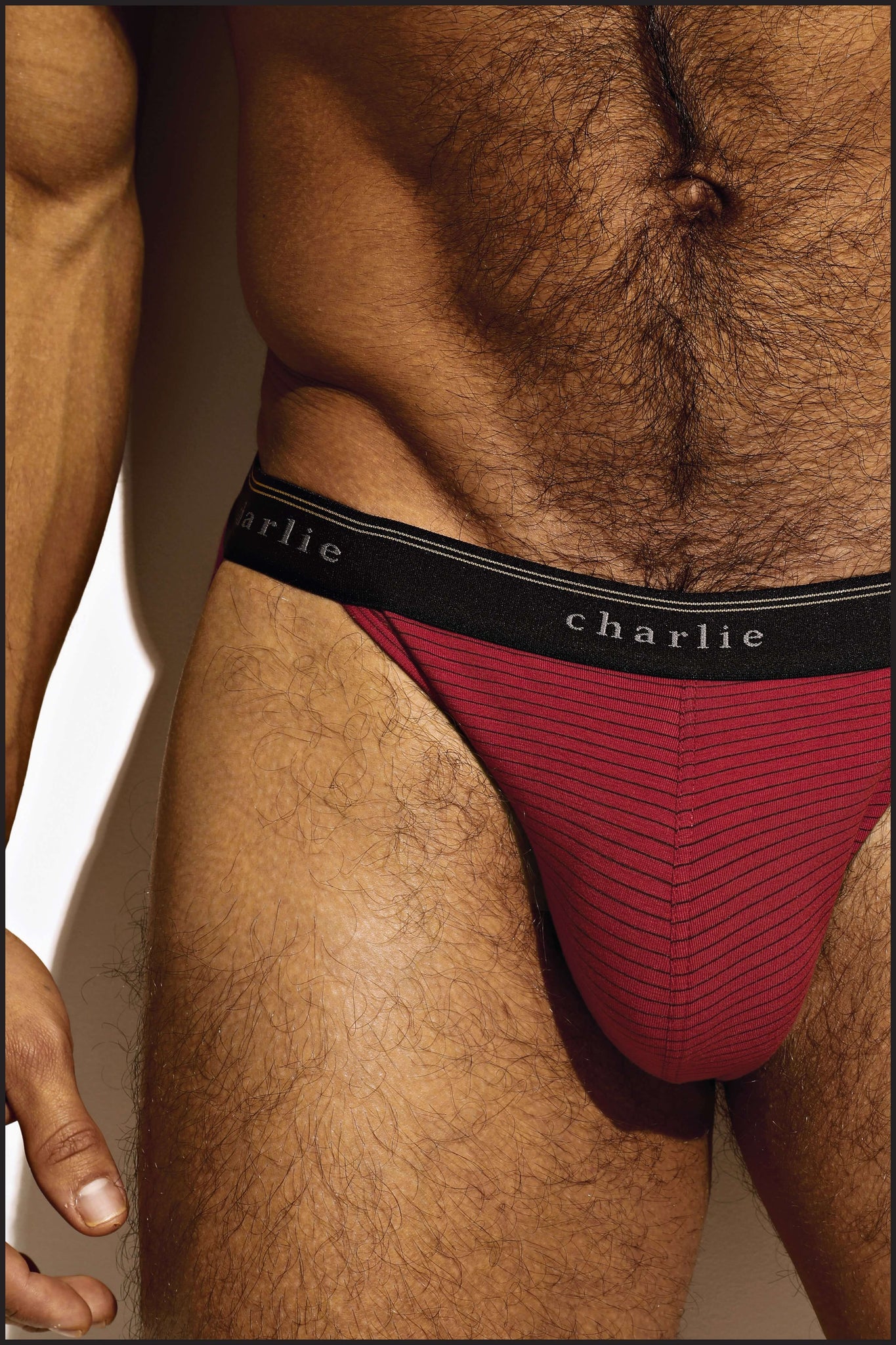 Charlie by Matthew Zink Vintage Microstripe Underwear Classic Thong