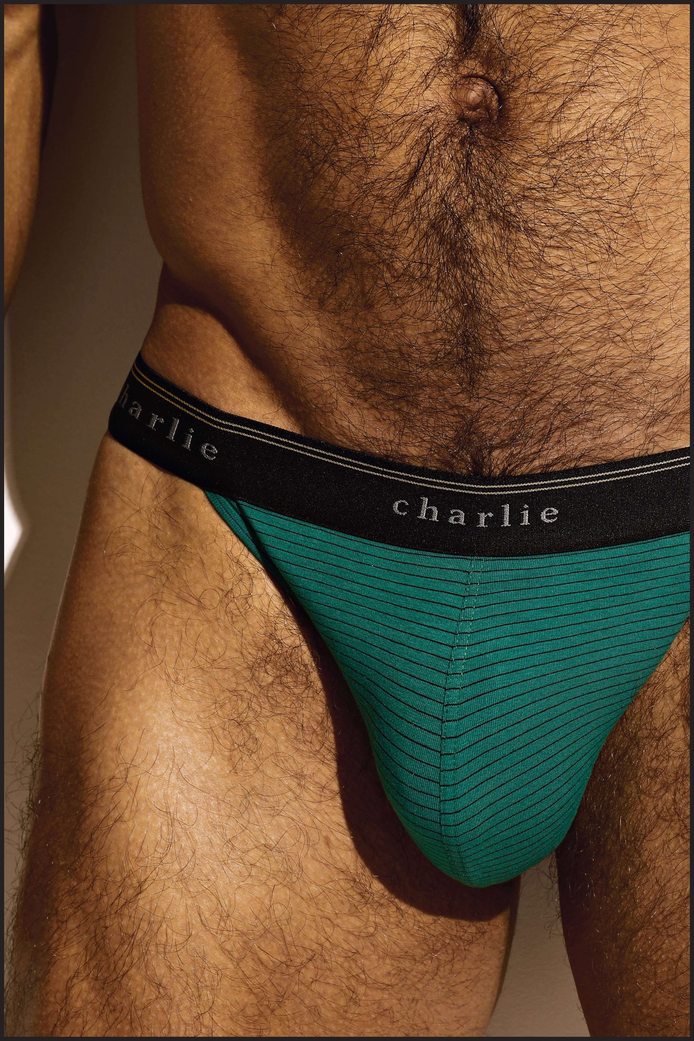 Charlie by Matthew Zink Vintage Microstripe Underwear Sport Brief