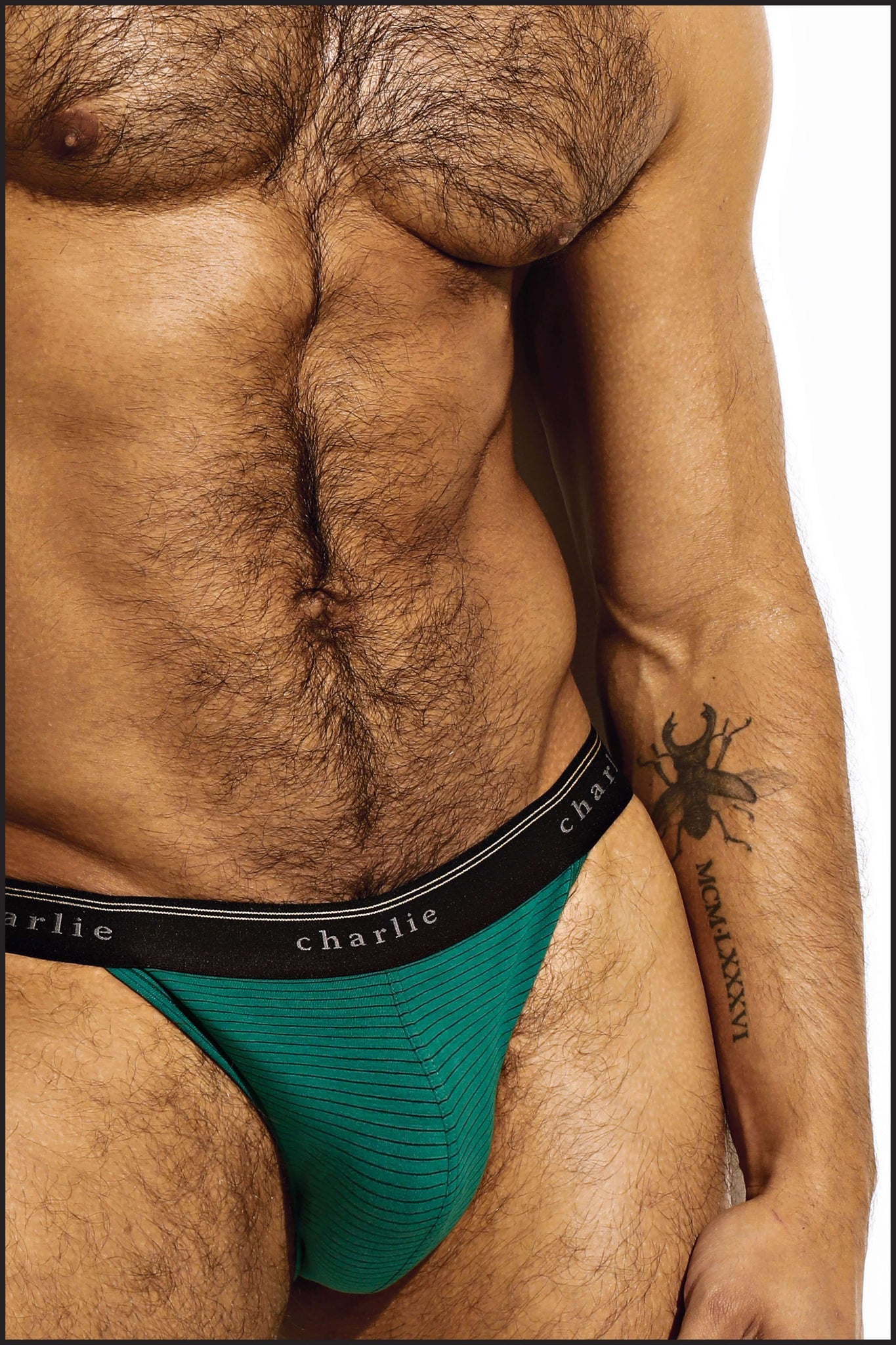 Charlie by Matthew Zink Vintage Microstripe Underwear Sport Brief
