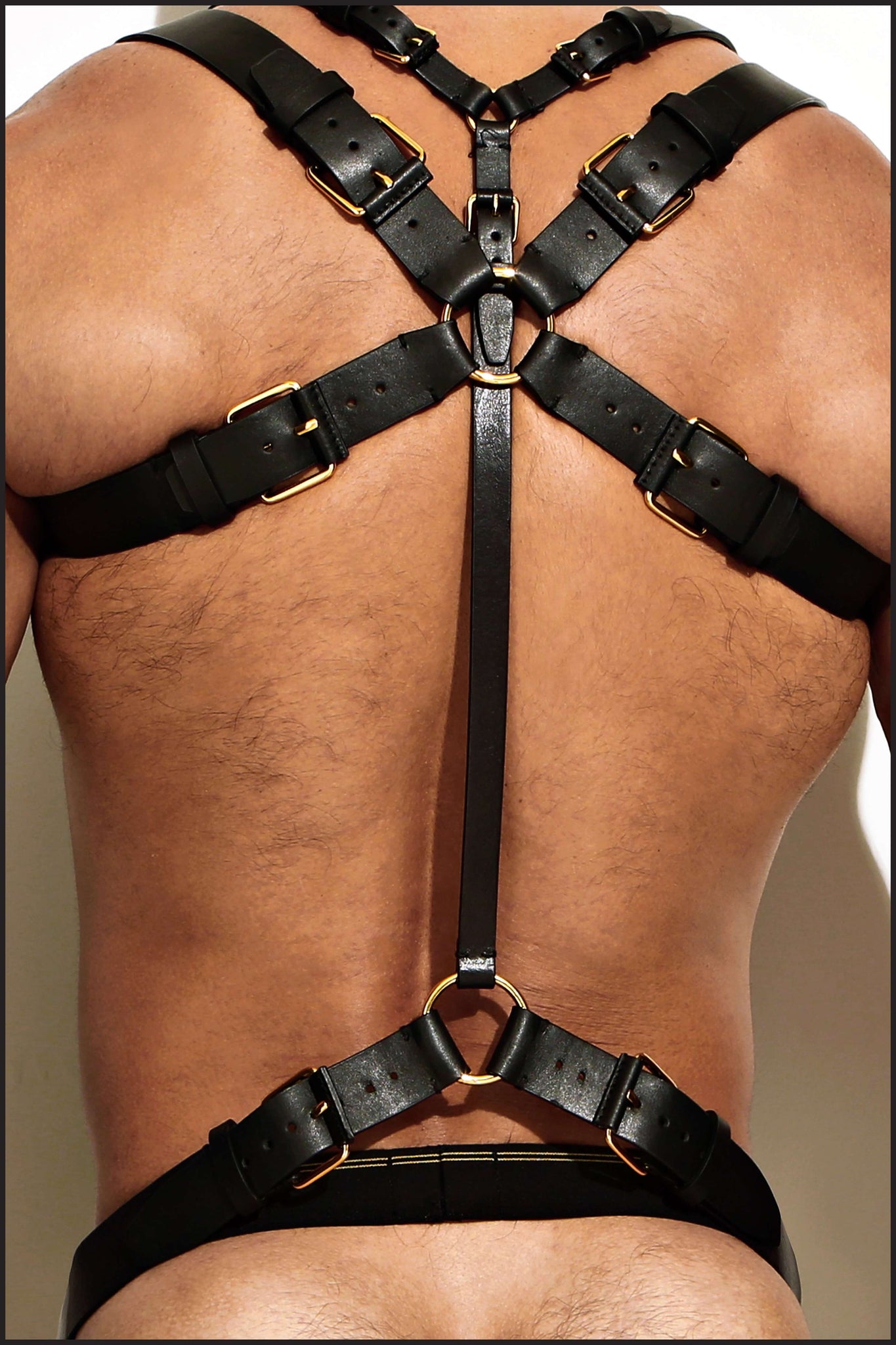 Charlie by Matthew Zink Leather Suspender Harness