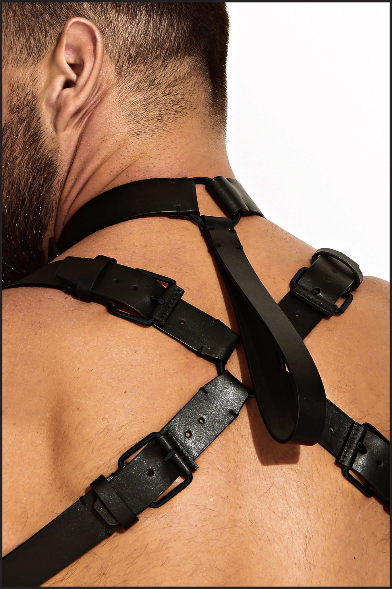 Charlie by Matthew Zink Leather Neck Harness