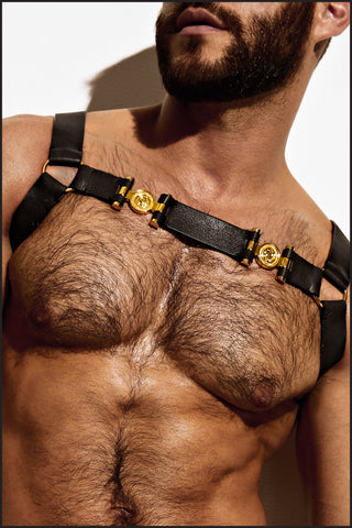 Charlie by Matthew Zink Mens Leather Double Grecian Chest Harness