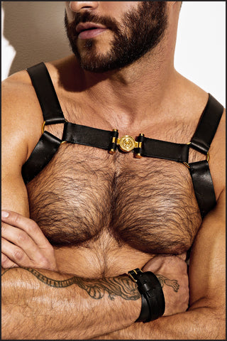 Charlie by Matthew Zink Mens Leather Single Grecian Chest Harness