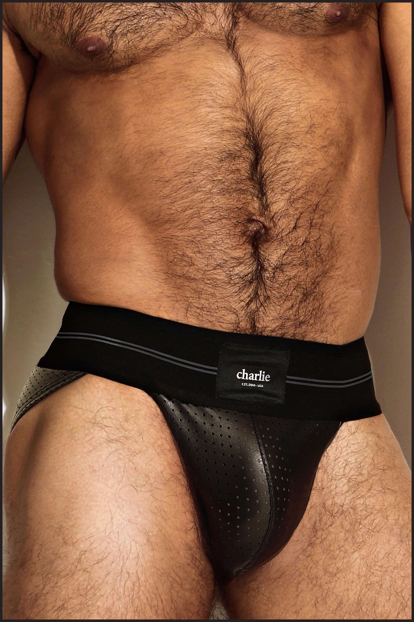Charlie by Matthew Zink Mens Underwear Perforated Leather Pro Sport Brief