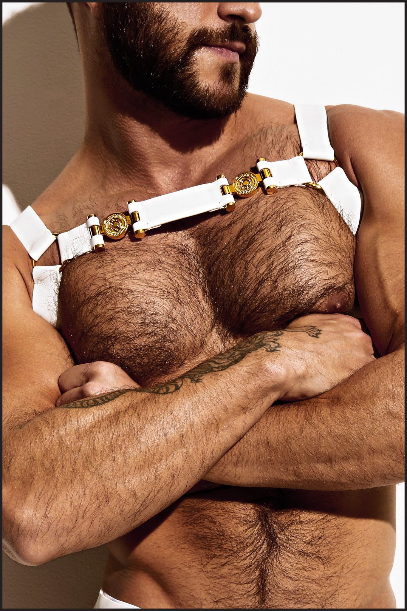 Charlie by Matthew Zink Mens Leather Double Grecian Chest Harness